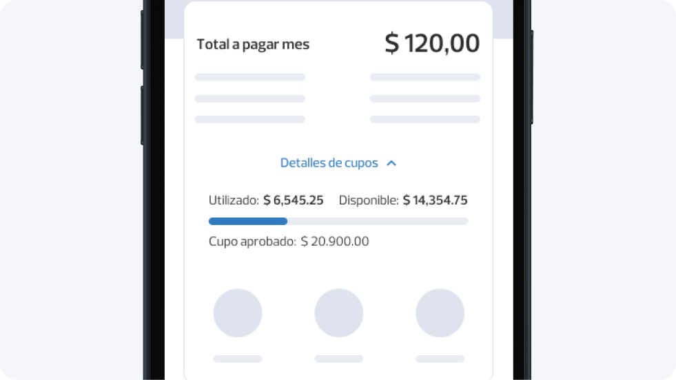 Image _ 9_16 _ Detalles de cupo 2.png
