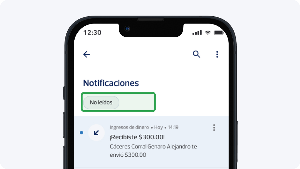 Buscar notificaciones chips.jpg